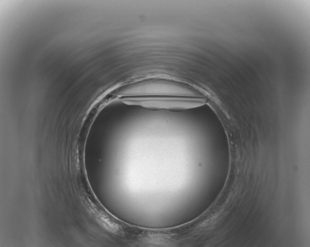 X0000081460782200701191739