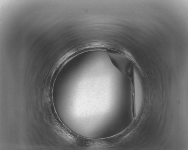 X0000081460786200701191738
