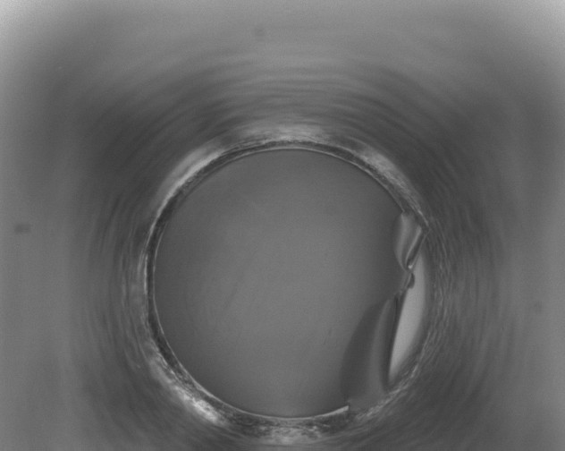 X0000081460790200701191738