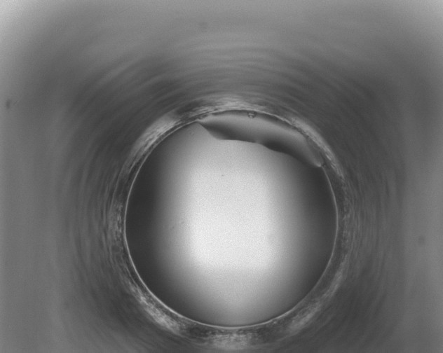 X0000081460793200701191738
