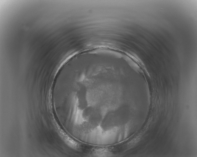 X0000081460798200701191738