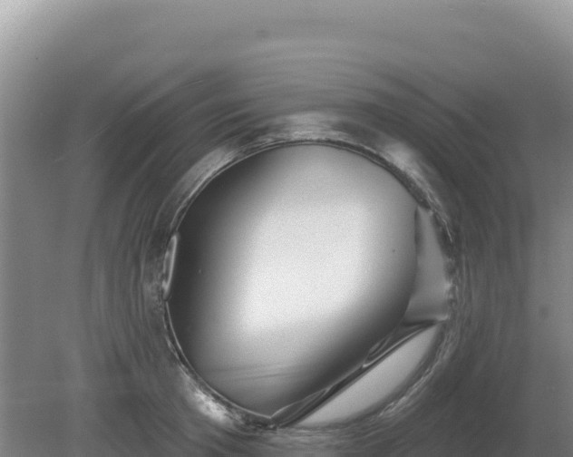 X0000081460801200701191738
