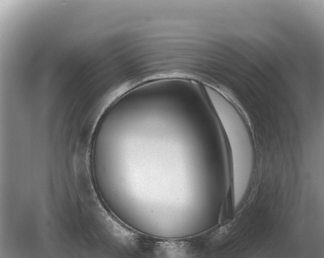 X0000081460805200701191738