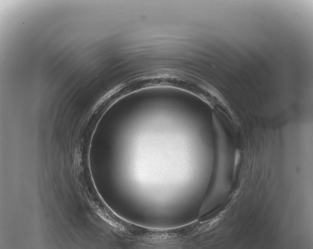 X0000081460826200701191737