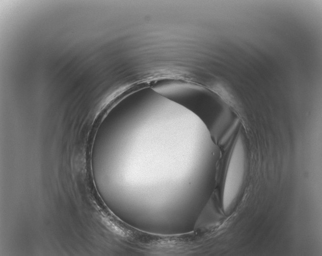 X0000081460834200701191737