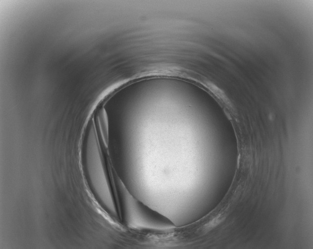 X0000081460846200701191738