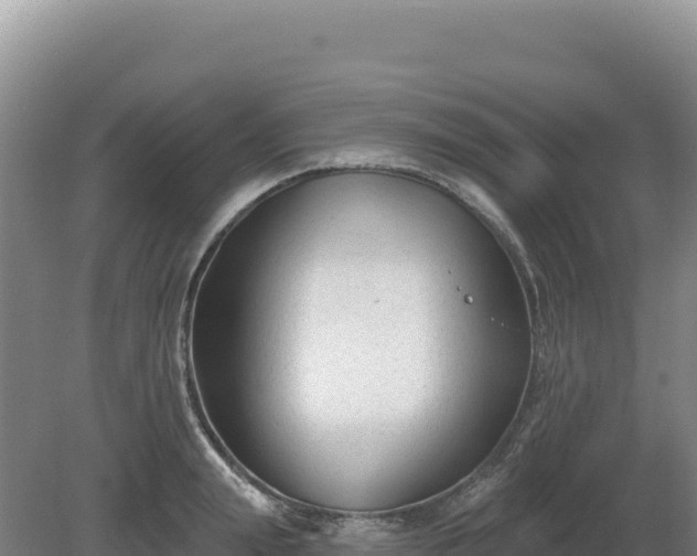 X0000081460847200701191738