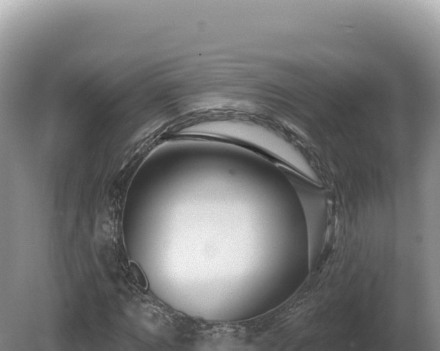 X0000081460869200701191737