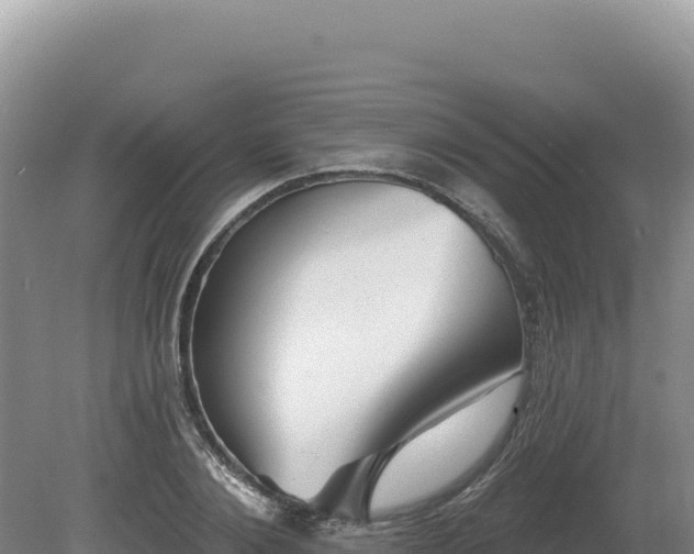 X0000081460884200701191737
