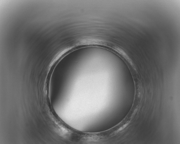 X0000081460885200701191737