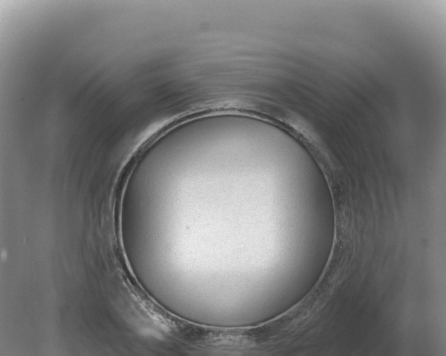 X0000081460886200701191737