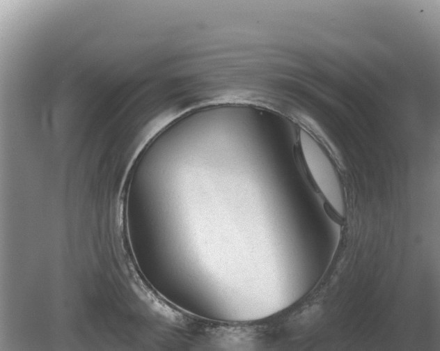 X0000081460900200701191737