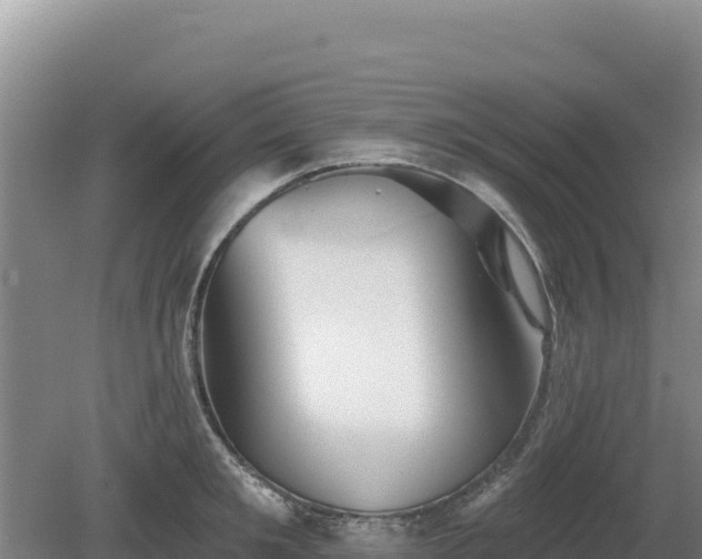 X0000081460901200701191737