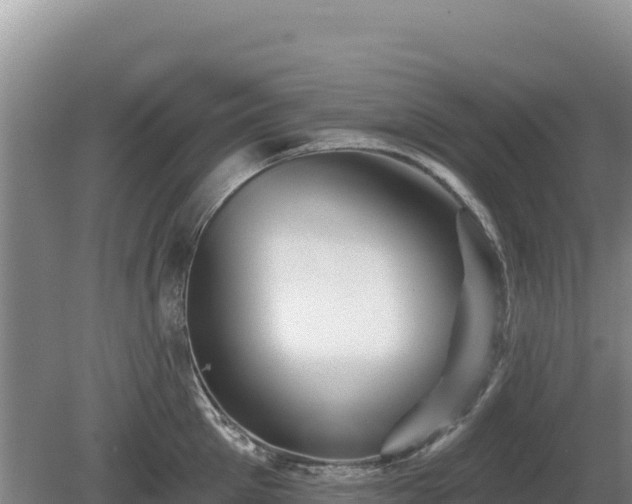 X0000081460905200701191736