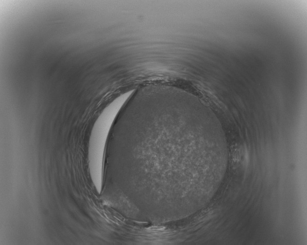 X0000081460916200701191736