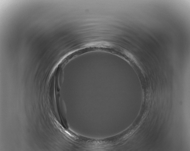 X0000081460923200701191736