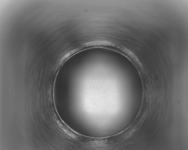 X0000081460937200701191736