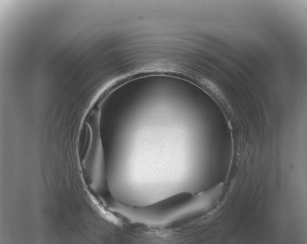 X0000081460942200701191736