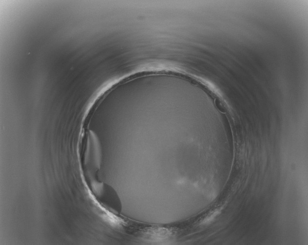 X0000081460943200701191736