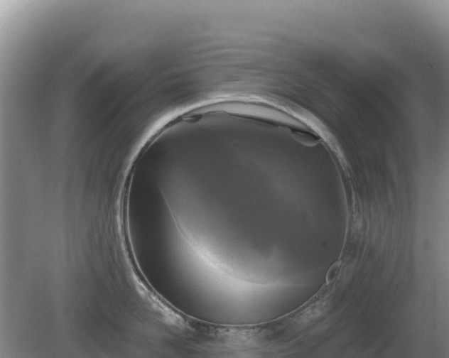 X0000081460958200701191736