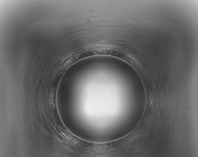 X0000081460964200701191735