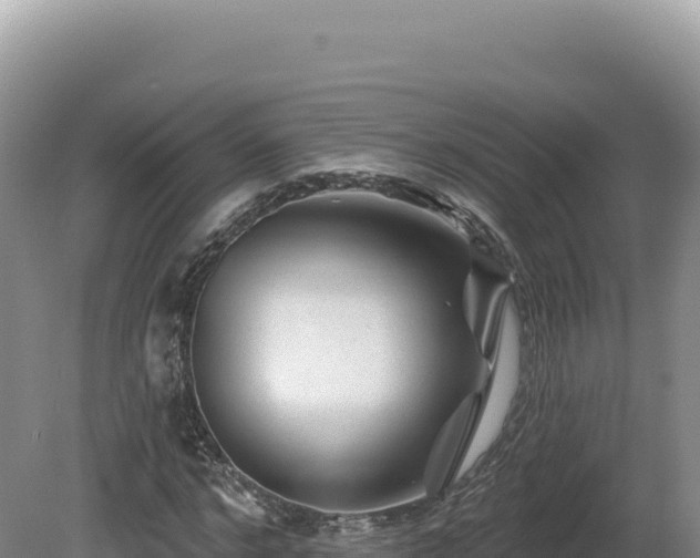 X0000081460968200701191735
