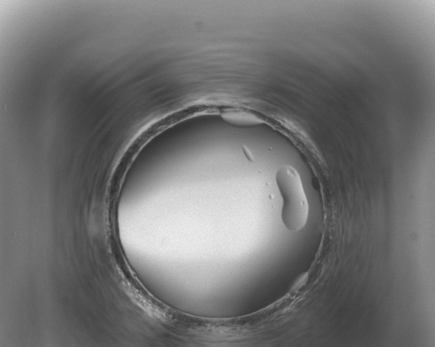 X0000081460976200701191735
