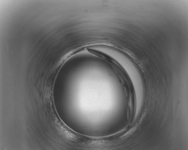X0000081460985200701191735
