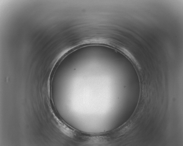 X0000081460988200701191735