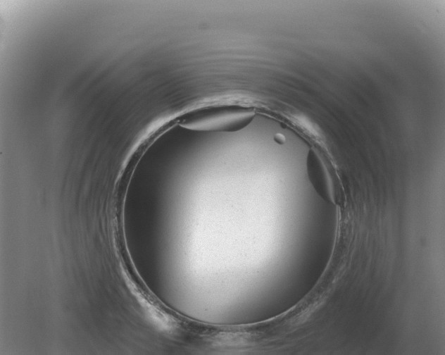 X0000081460989200701191735