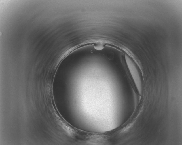 X0000081460993200701191735