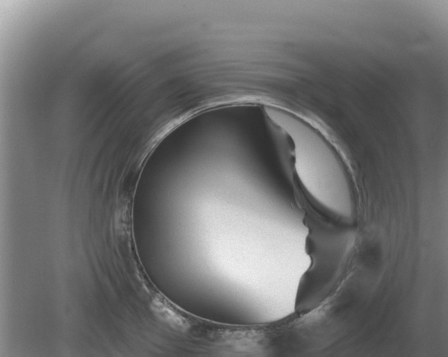 X0000081461001200701191735