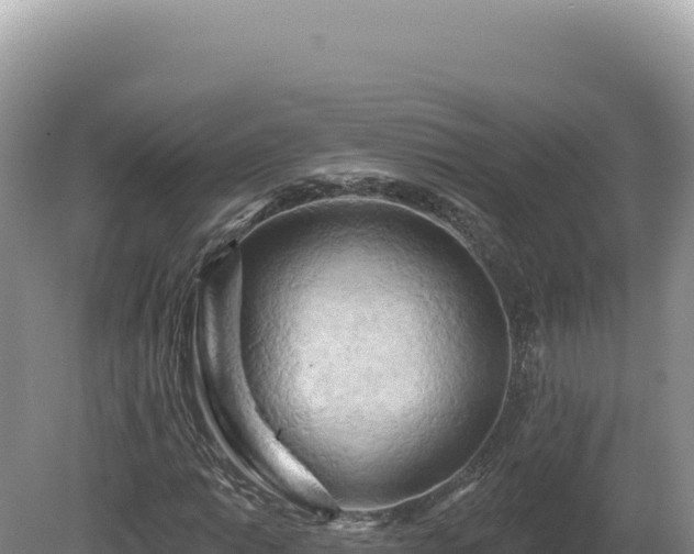 X0000081461014200701191734