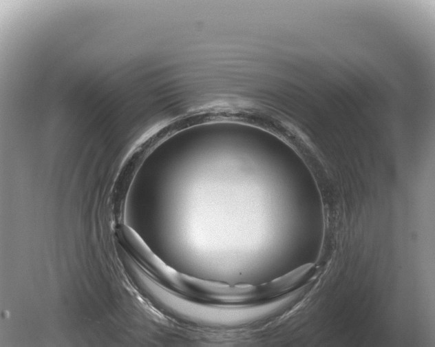X0000081461018200701191734