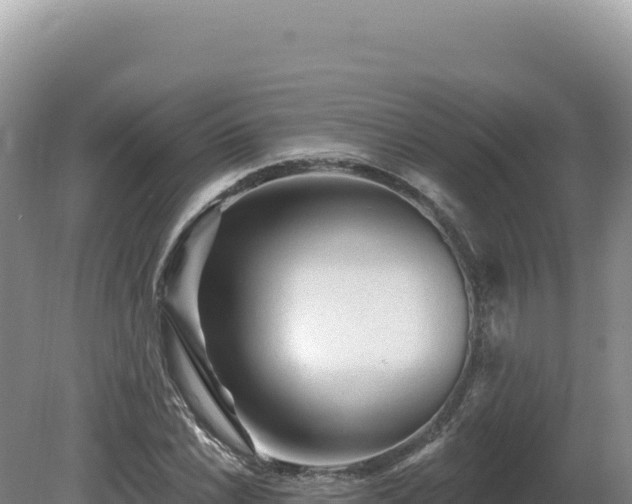 X0000081461022200701191734