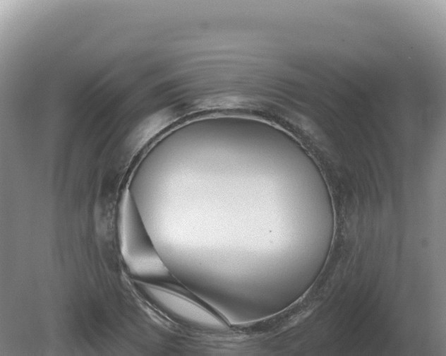 X0000081461073200701191734