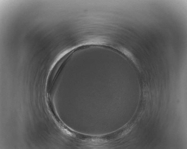 X0000081461077200701191734
