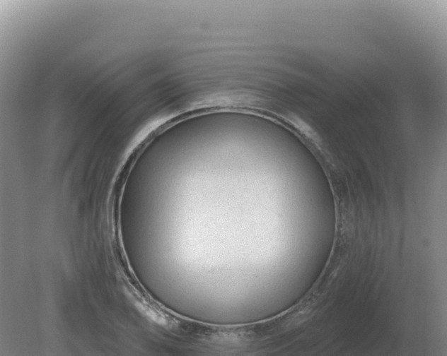 X0000081461078200701191734
