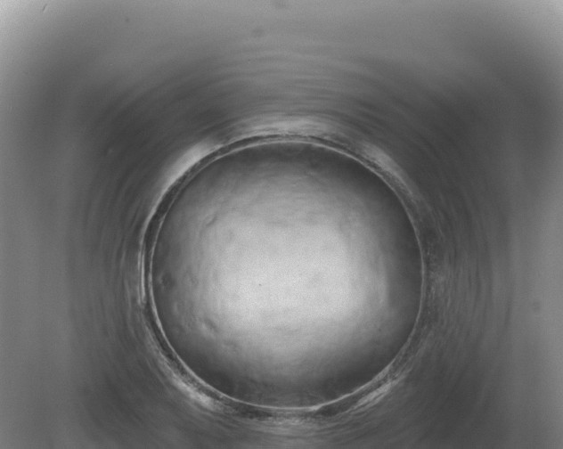 X0000081461079200701191734