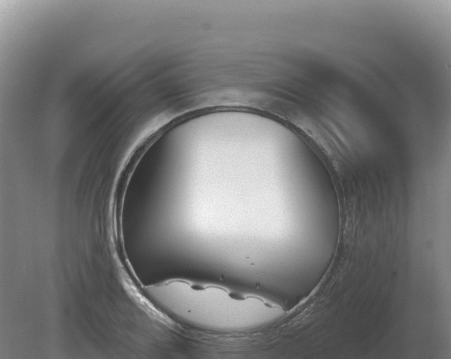 X0000081461080200701191734