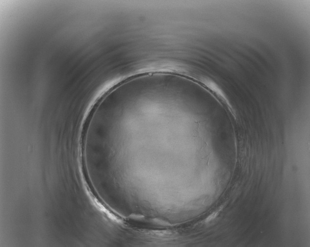 X0000081461088200701191733