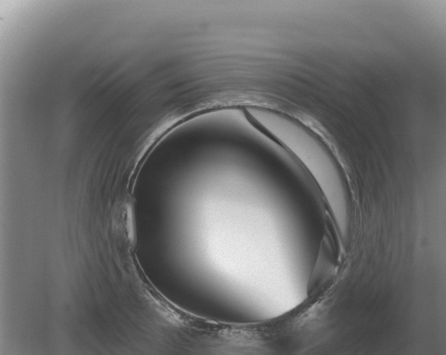 X0000081461089200701191733