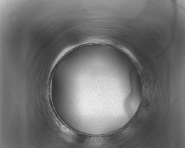 X0000081461094200701191733