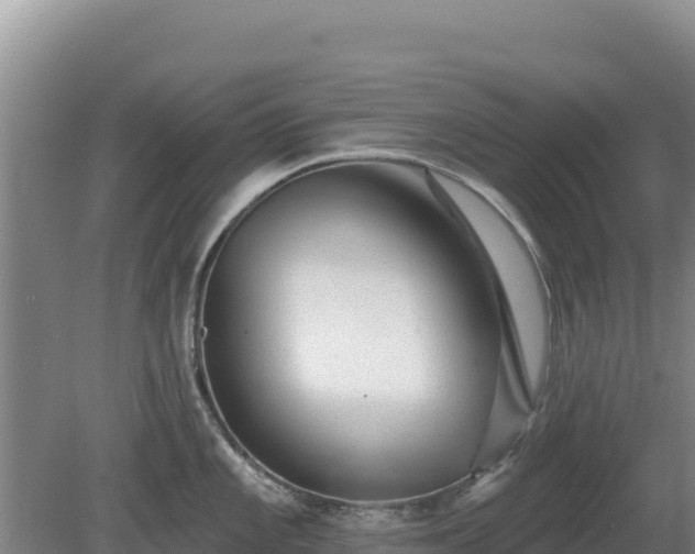 X0000081461101200701191733