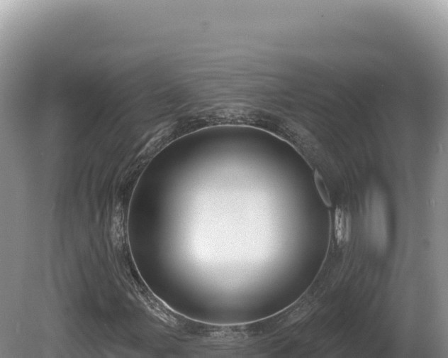 X0000081461107200701191732