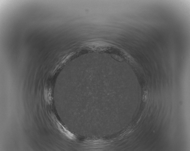 X0000081461108200701191732