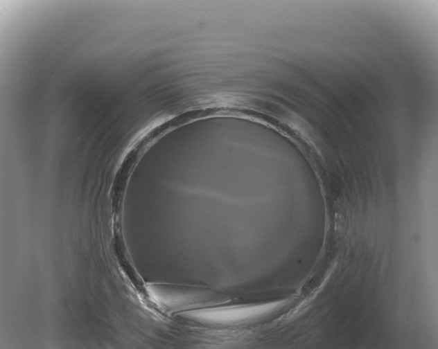 X0000081461117200701191732