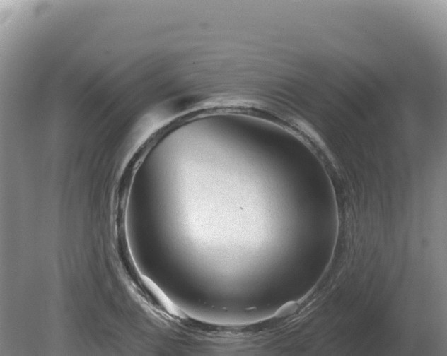 X0000081461124200701191733