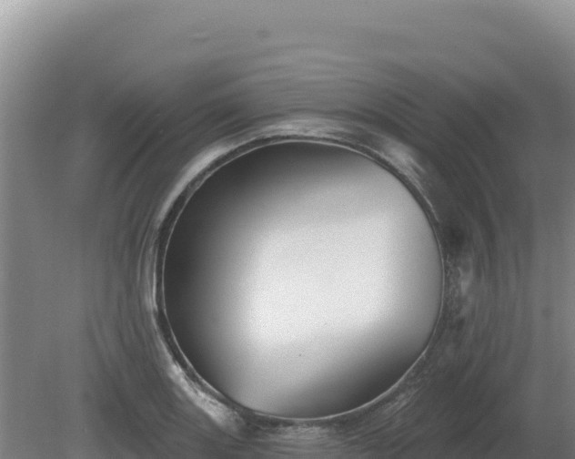 X0000081461131200701191733