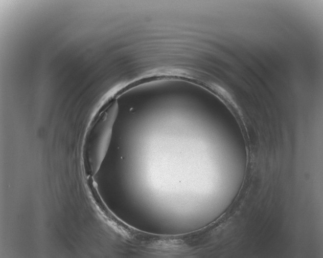 X0000081461133200701191733